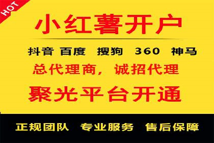 网络推广竞价策略案例分析